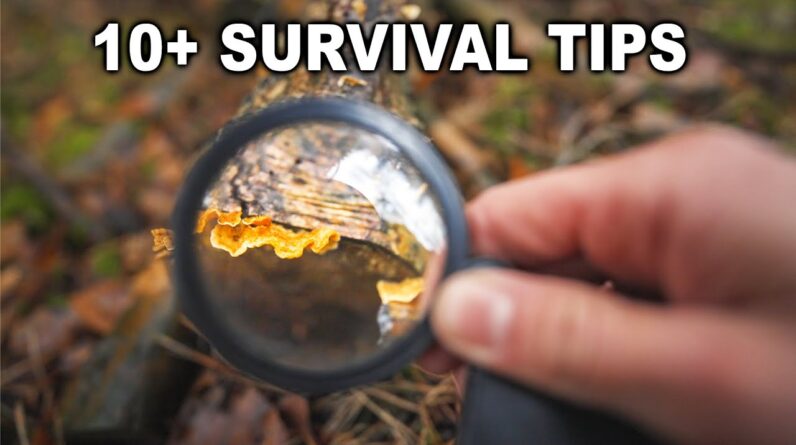10+ Outdoor Survival Skills & Bushcraft Tips