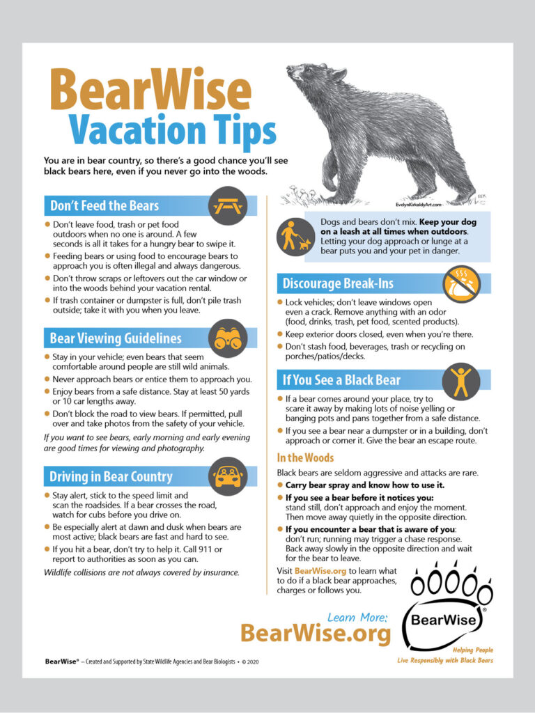 Bear Safety Precautions Researching Bear Habitats