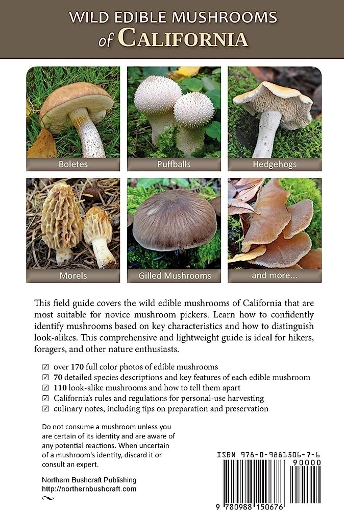 Exploring the Wild: Discovering Edible Mushrooms Cooking with Edible Mushrooms