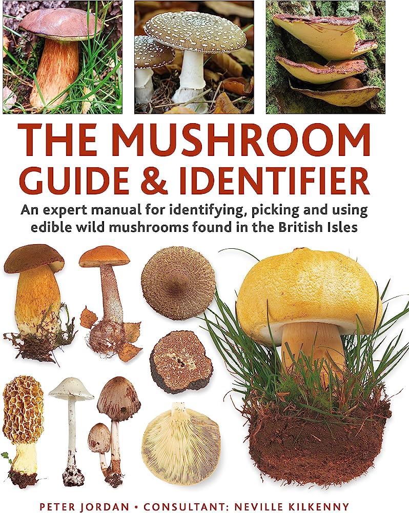Exploring the Wild: Discovering Edible Mushrooms Habitats for Mushroom Foraging